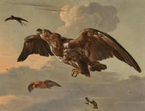 HONDECOETER, Melchior d’ – An Eagle, a Swallow, a Snipe and a Finch in Flight